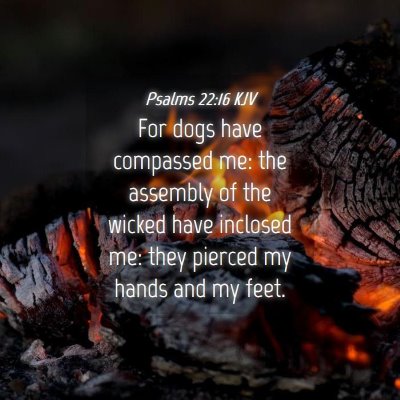 Picture 04 - Psalms 22:16 KJV - For dogs have compassed me: the assembly of the - Bible Verse Picture