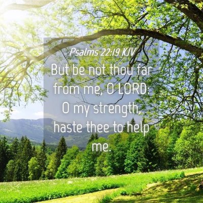 Picture 04 - Psalms 22:19 KJV - But be not thou far from me, O LORD: O my - Bible Verse Picture