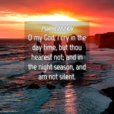 Picture 04 - Psalms 22:2 KJV - O my God, I cry in the day time, but thou hearest - Bible Verse Picture