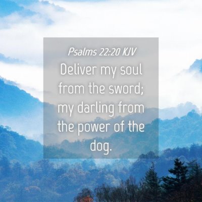 Picture 04 - Psalms 22:20 KJV - Deliver my soul from the sword; my darling from - Bible Verse Picture