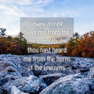 Picture 04 - Psalms 22:21 KJV - Save me from the lion's mouth: for thou hast - Bible Verse Picture