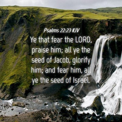 Picture 04 - Psalms 22:23 KJV - Ye that fear the LORD, praise him; all ye the - Bible Verse Picture