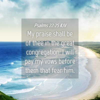 Picture 04 - Psalms 22:25 KJV - My praise shall be of thee in the great - Bible Verse Picture