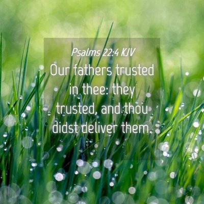 Picture 04 - Psalms 22:4 KJV - Our fathers trusted in thee: they trusted, and - Bible Verse Picture