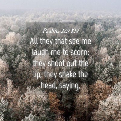 Picture 04 - Psalms 22:7 KJV - All they that see me laugh me to scorn: they - Bible Verse Picture