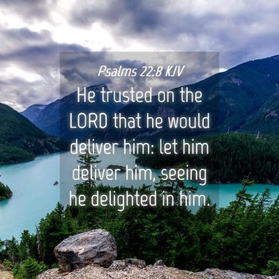 Picture 04 - Psalms 22:8 KJV - He trusted on the LORD that he would deliver him: - Bible Verse Picture
