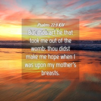 Picture 04 - Psalms 22:9 KJV - But thou art he that took me out of the womb: - Bible Verse Picture