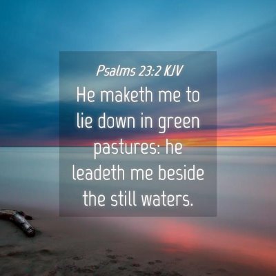 Picture 04 - Psalms 23:2 KJV - He maketh me to lie down in green pastures: he - Bible Verse Picture
