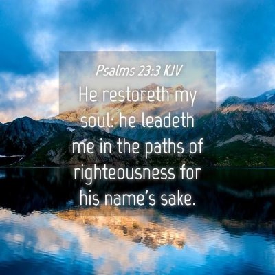 Picture 04 - Psalms 23:3 KJV - He restoreth my soul: he leadeth me in the paths - Bible Verse Picture