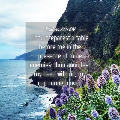 Picture 04 - Psalms 23:5 KJV - Thou preparest a table before me in the presence - Bible Verse Picture
