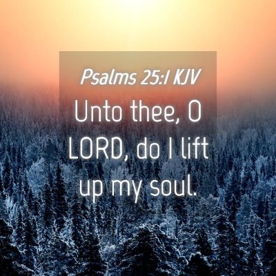 Picture 04 - Psalms 25:1 KJV - Unto thee, O LORD, do I lift up my - Bible Verse Picture