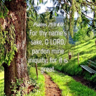 Picture 04 - Psalms 25:11 KJV - For thy name's sake, O LORD, pardon mine - Bible Verse Picture