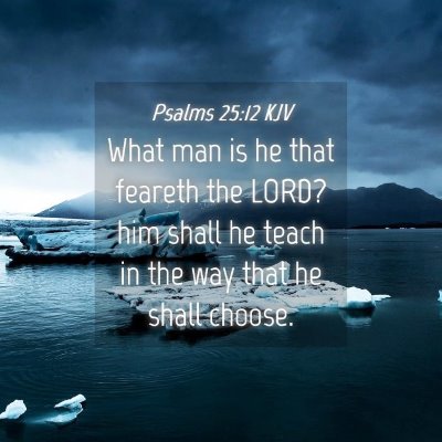 Picture 04 - Psalms 25:12 KJV - What man is he that feareth the LORD? him shall - Bible Verse Picture