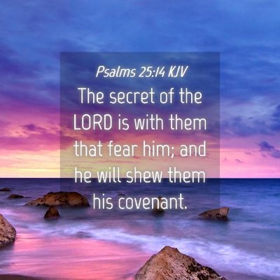 Picture 04 - Psalms 25:14 KJV - The secret of the LORD is with them that fear - Bible Verse Picture