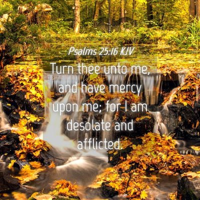 Picture 04 - Psalms 25:16 KJV - Turn thee unto me, and have mercy upon me; for I - Bible Verse Picture