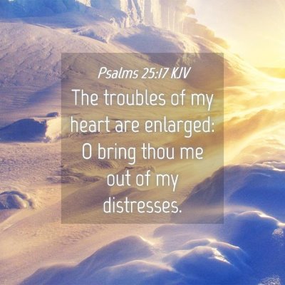 Picture 04 - Psalms 25:17 KJV - The troubles of my heart are enlarged: O bring - Bible Verse Picture