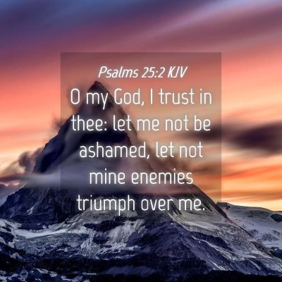 Picture 04 - Psalms 25:2 KJV - O my God, I trust in thee: let me not be ashamed, - Bible Verse Picture
