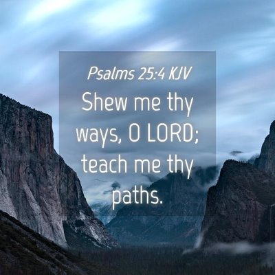 Picture 04 - Psalms 25:4 KJV - Shew me thy ways, O LORD; teach me thy - Bible Verse Picture