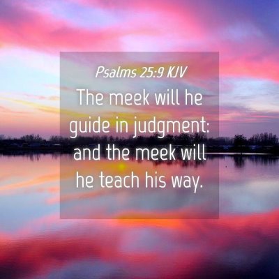 Picture 04 - Psalms 25:9 KJV - The meek will he guide in judgment: and the meek - Bible Verse Picture