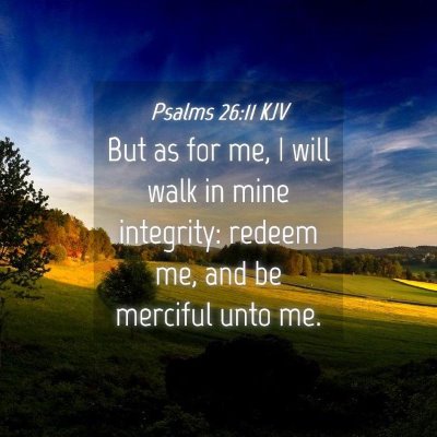 Picture 04 - Psalms 26:11 KJV - But as for me, I will walk in mine integrity: - Bible Verse Picture