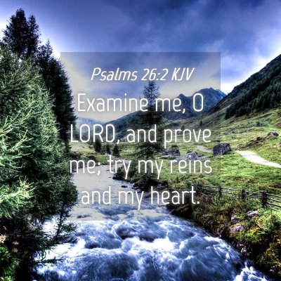 Picture 04 - Psalms 26:2 KJV - Examine me, O LORD, and prove me; try my reins - Bible Verse Picture