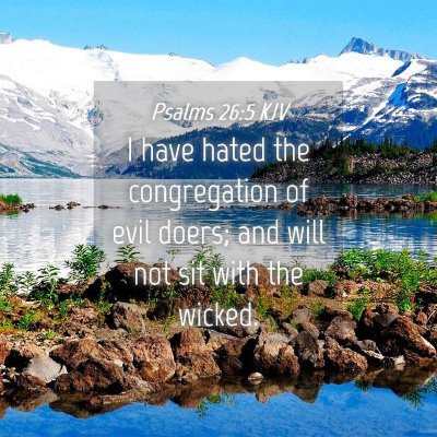 Picture 04 - Psalms 26:5 KJV - I have hated the congregation of evil doers; and - Bible Verse Picture