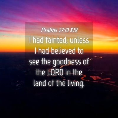 Picture 04 - Psalms 27:13 KJV - I had fainted, unless I had believed to see the - Bible Verse Picture