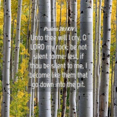 Picture 04 - Psalms 28:1 KJV - Unto thee will I cry, O LORD my rock; be not - Bible Verse Picture