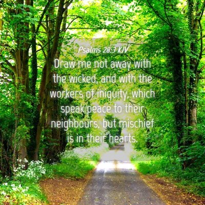 Picture 04 - Psalms 28:3 KJV - Draw me not away with the wicked, and with the - Bible Verse Picture