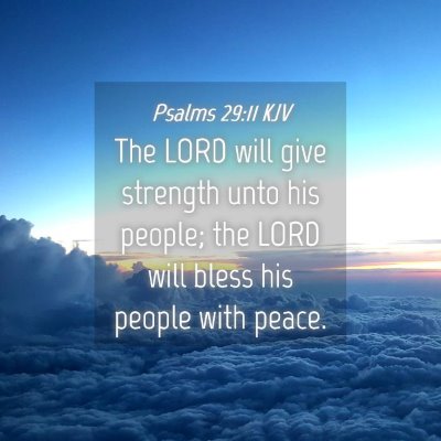 Picture 04 - Psalms 29:11 KJV - The LORD will give strength unto his people; the - Bible Verse Picture