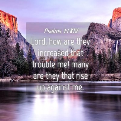 Picture 04 - Psalms 3:1 KJV - Lord, how are they increased that trouble me! - Bible Verse Picture