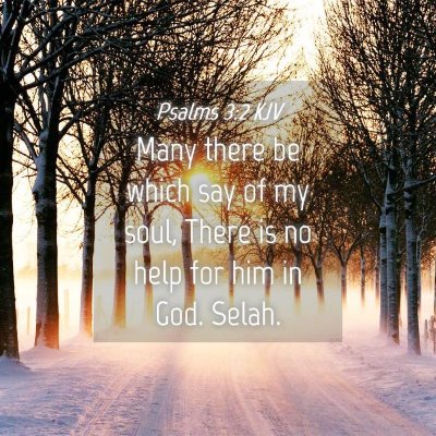 Picture 04 - Psalms 3:2 KJV - Many there be which say of my soul, There is no - Bible Verse Picture