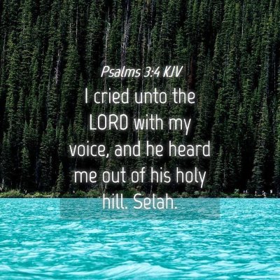 Picture 04 - Psalms 3:4 KJV - I cried unto the LORD with my voice, and he heard - Bible Verse Picture