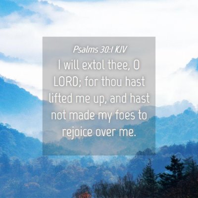 Picture 04 - Psalms 30:1 KJV - I will extol thee, O LORD; for thou hast lifted - Bible Verse Picture
