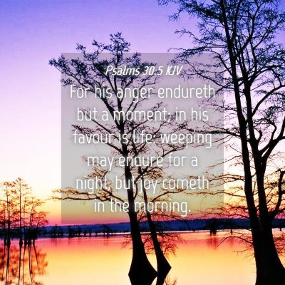 Picture 04 - Psalms 30:5 KJV - For his anger endureth but a moment; in his - Bible Verse Picture