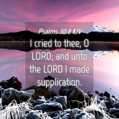 Picture 04 - Psalms 30:8 KJV - I cried to thee, O LORD; and unto the LORD I made - Bible Verse Picture