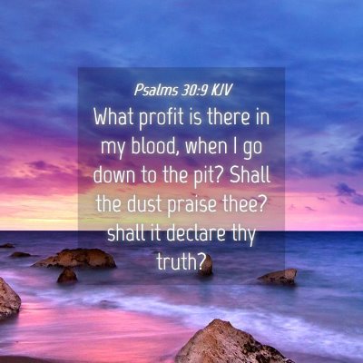 Picture 04 - Psalms 30:9 KJV - What profit is there in my blood, when I go down - Bible Verse Picture