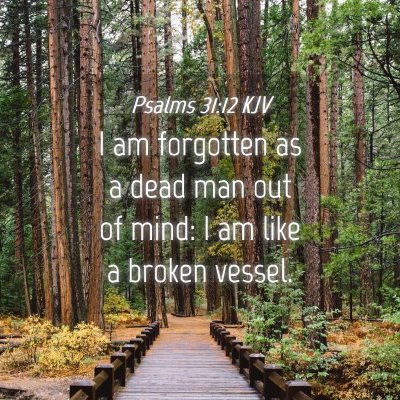 Picture 04 - Psalms 31:12 KJV - I am forgotten as a dead man out of mind: I am - Bible Verse Picture