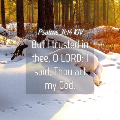 Picture 04 - Psalms 31:14 KJV - But I trusted in thee, O LORD: I said, Thou art - Bible Verse Picture