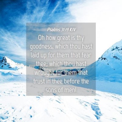 Picture 04 - Psalms 31:19 KJV - Oh how great is thy goodness, which thou hast - Bible Verse Picture