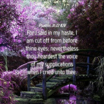 Picture 04 - Psalms 31:22 KJV - For I said in my haste, I am cut off from before - Bible Verse Picture