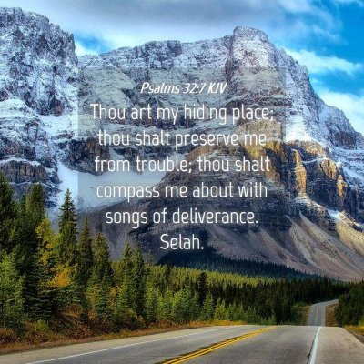 Picture 04 - Psalms 32:7 KJV - Thou art my hiding place; thou shalt preserve me - Bible Verse Picture