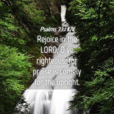 Picture 04 - Psalms 33:1 KJV - Rejoice in the LORD, O ye righteous: for praise - Bible Verse Picture