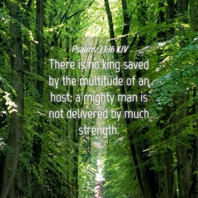 Picture 04 - Psalms 33:16 KJV - There is no king saved by the multitude of an - Bible Verse Picture