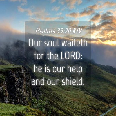 Picture 04 - Psalms 33:20 KJV - Our soul waiteth for the LORD: he is our help and - Bible Verse Picture