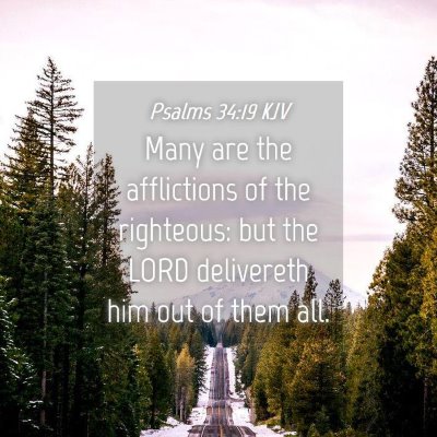 Picture 04 - Psalms 34:19 KJV - Many are the afflictions of the righteous: but - Bible Verse Picture