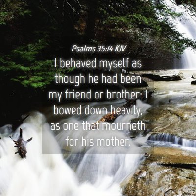 Picture 04 - Psalms 35:14 KJV - I behaved myself as though he had been my friend - Bible Verse Picture