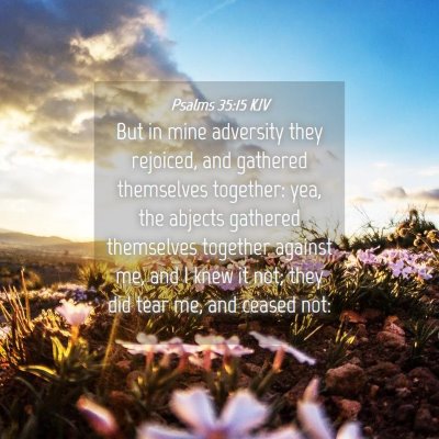 Picture 04 - Psalms 35:15 KJV - But in mine adversity they rejoiced, and gathered - Bible Verse Picture