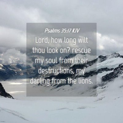 Picture 04 - Psalms 35:17 KJV - Lord, how long wilt thou look on? rescue my soul - Bible Verse Picture