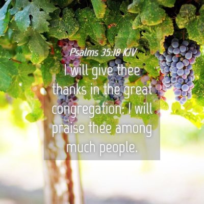 Picture 04 - Psalms 35:18 KJV - I will give thee thanks in the great - Bible Verse Picture